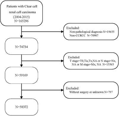 Frontiers Prognosis Of Clear Cell Renal Cell Carcinoma Patients